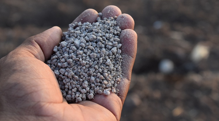 Marokkó kulcsszereplő a világ foszfátpiacán