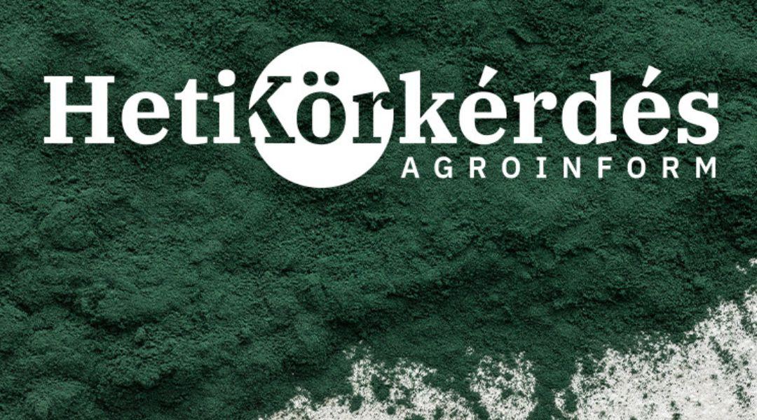 Az algaalapú készítmények esszenciája – Heti Körkérdés