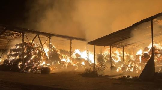 Lángokban a határ: futnak a gazdák a pénzük után Lángokban a határ: futnak a gazdák a pénzük után