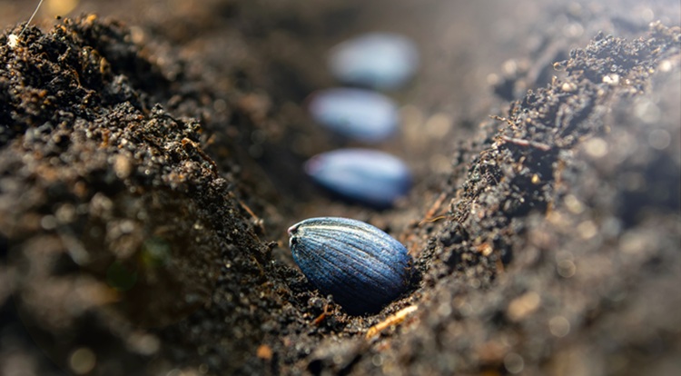 Nem maradtunk le semmiről