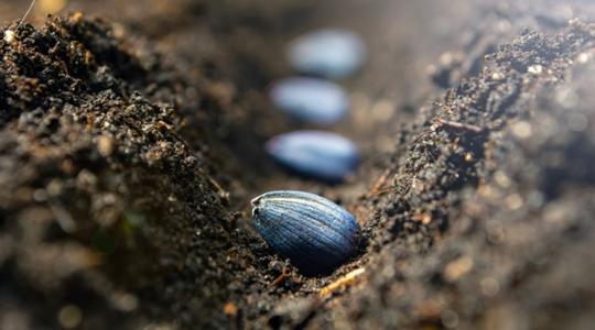 Lassan halad a munka? Így van jól, most mások sem gyorsabbak Lassan halad a munka? Így van jól, most mások sem gyorsabbak