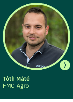 heti körkérdés extra