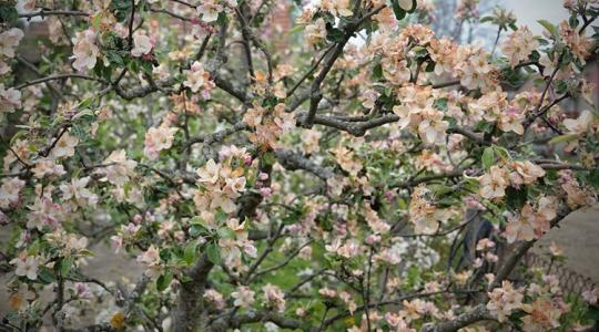 Időjárás: Rendesen benézünk a 0 fok alá, és lesz, ahová hó is jut