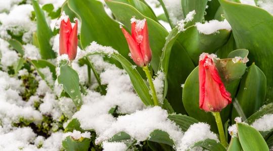 Napról napra rosszabb lesz: mutatjuk, hogyan alakulnak az éjjeli fagyok