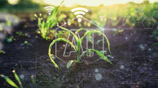 Az okos gazdaságok kora, avagy AI a mezőgazdaságban