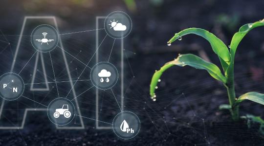 Az okos gazdaságok kora – mesterséges intelligencia a mezőgazdaságban