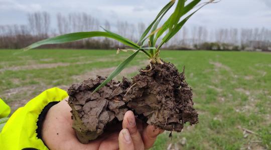 Miért áll le a szervesanyag-körforgás? A válasz, amit az aszályos években minden gazdának ismernie kell