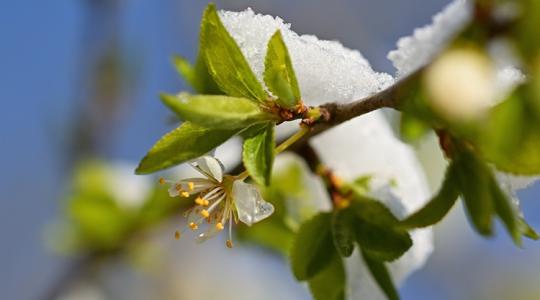 Ez durva lesz: ahogy lemegy a nap, támad a fagy és a hódara