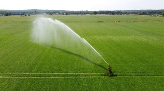 Megvan a döntés: 21,2 milliárd forintot osztanak szét öntözésre, és ez még csak a kezdet Megvan a döntés: 21,2 milliárd forintot osztanak szét öntözésre, és ez még csak a kezdet