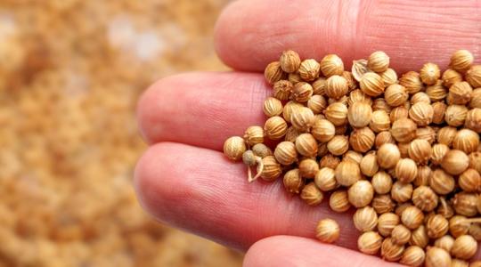 Mérgező anyagot találtak a magyar polcokra került fűszerben Mérgező anyagot találtak a magyar polcokra került fűszerben