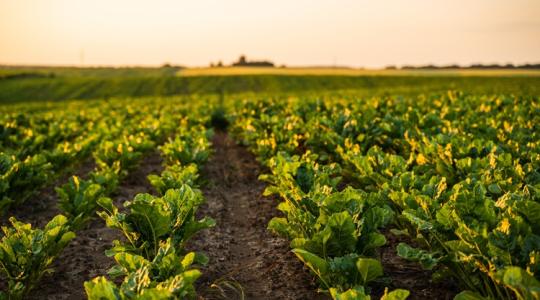 A KWS tovább erősíti ügyfélközpontú működését Magyarországon