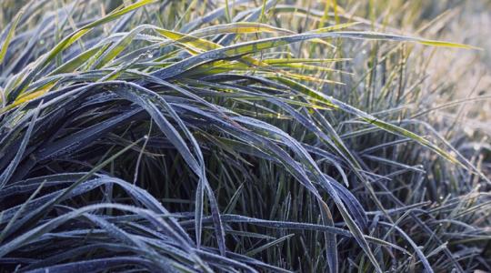 Időjárás: Ha a hajnalon túlvagyunk, a többi gyerekjáték Időjárás: Ha a hajnalon túlvagyunk, a többi gyerekjáték