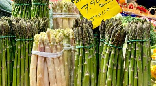 Ez nekünk még jó is lehet: fogy a spárgatermelő Németországban Ez nekünk még jó is lehet: fogy a spárgatermelő Németországban