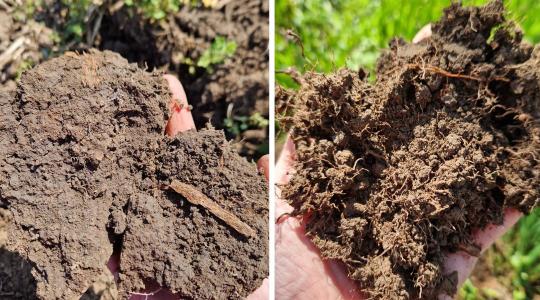 Vigyázat, negatív spirál! Így teszi tönkre a kényszerű művelés a talaj vízháztartását Vigyázat, negatív spirál! Így teszi tönkre a kényszerű művelés a talaj vízháztartását