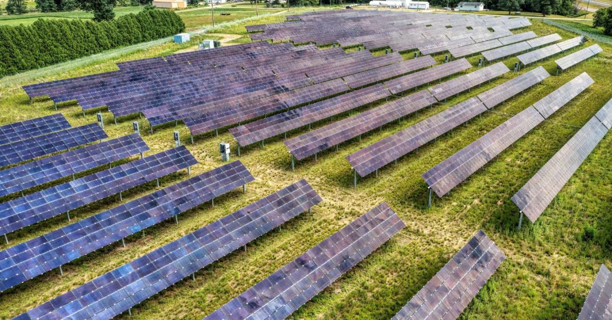 Juhokkal a rezsiválság ellen: Új aranybánya a napelempark