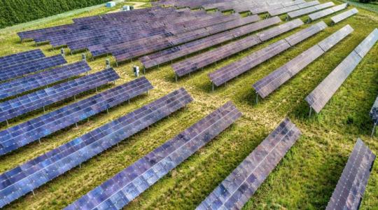 Juhokkal a rezsiválság ellen: Új aranybánya a napelempark Juhokkal a rezsiválság ellen: Új aranybánya a napelempark