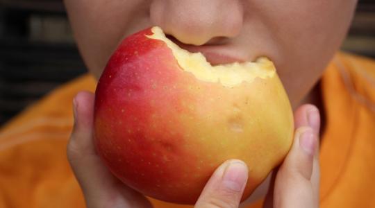 Megszólalt a NAK: tiszta vizet öntenek a pohárba alma-ügyben