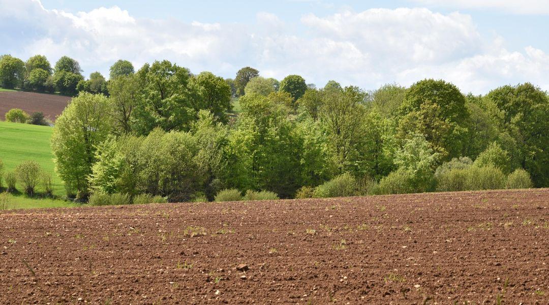 Agrárjog gazdáknak – Agrárjogi szabályok változásai