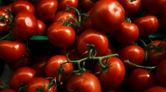 Gyönyörű paradicsomot szeretnél? Ez a titka! Gyönyörű paradicsomot szeretnél? Ez a titka!