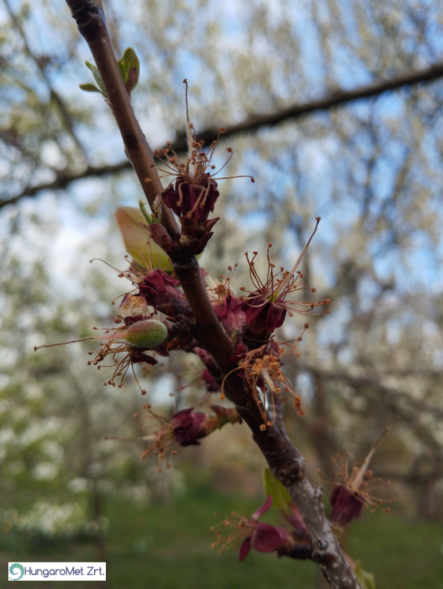 agrometeorológia agrometeorológia