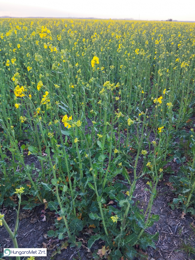 agrometeorológia agrometeorológia