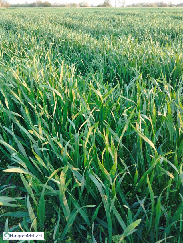 agrometeorológia agrometeorológia