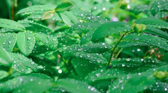 Időjárás: Valami megmozdult az égen, jönnek a záporok