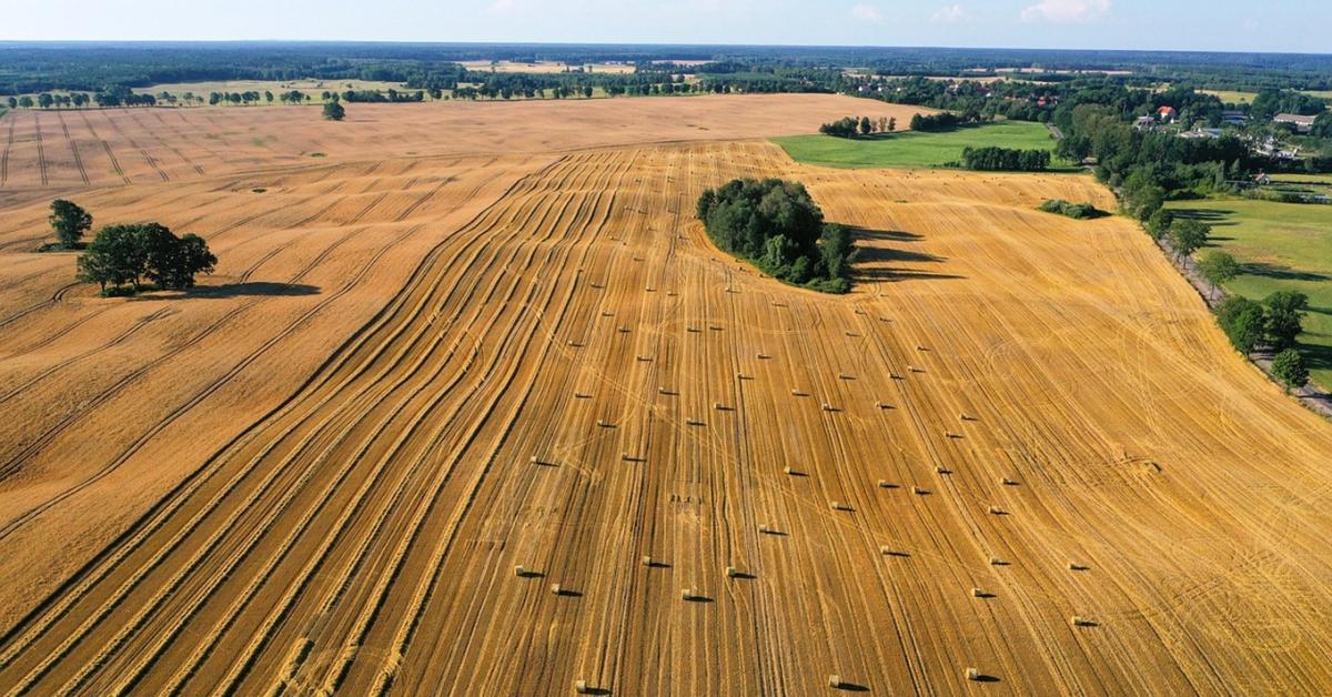 Illetékcsapda: így válhat a 0 forintból 8 százalékos büntetés földvásárláskor