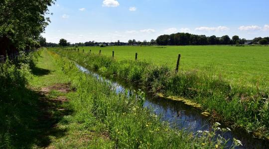 Elapadó kutak, süllyedő földek: a láthatatlan veszély, ami tönkreteheti a gazdaságodat