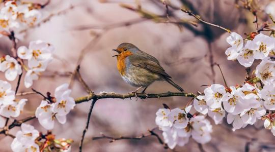 Időjárás: Zápor vagy napsütés - mutatjuk, meddig tart a kegyes idő Időjárás: Zápor vagy napsütés - mutatjuk, meddig tart a kegyes idő