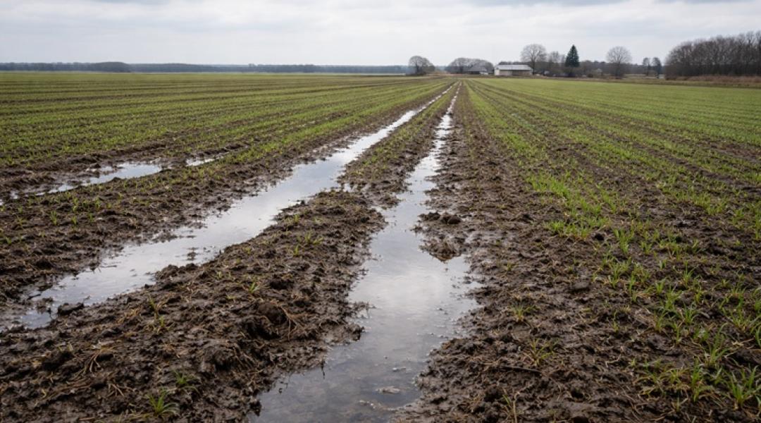 Minden gazda ezt a friss jelentést várta: ilyen állapotban van most a talaj