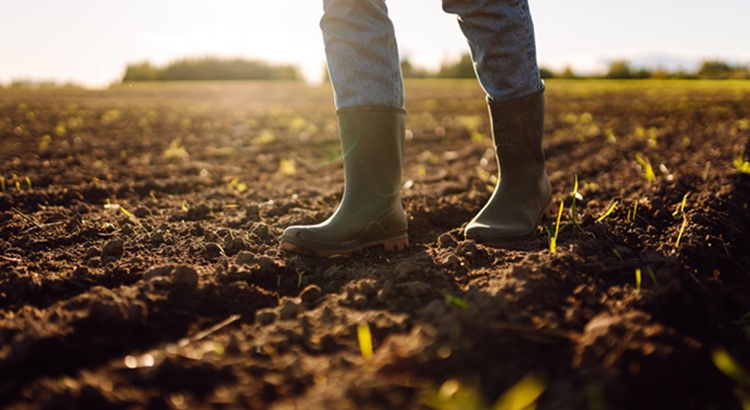 Több apró, de fontos változás történt a támogatásigénylésben