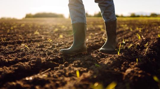 Ezek a legrizikósabb pontok az idei Egységes Kérelemben Ezek a legrizikósabb pontok az idei Egységes Kérelemben