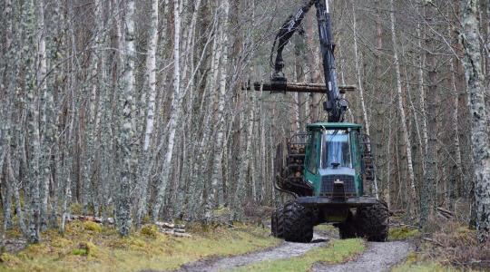 Módosult az erdészeti gép-pályázat: Így változtak a traktorbeszerzés és a támogatási keret szabályai Módosult az erdészeti gép-pályázat: Így változtak a traktorbeszerzés és a támogatási keret szabályai