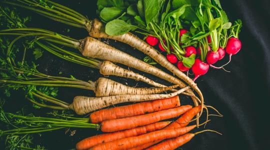 Ingyenes segítség a NAK-tól: így lesznek egészségesek a zöldségeid és dísznövényeid