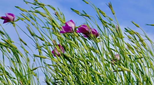 Időjárás: Erre a két dologra nagyon figyelj pénteken! Időjárás: Erre a két dologra nagyon figyelj pénteken!