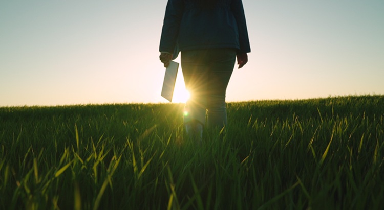 A szerződéskötésnek számos buktatója maradt