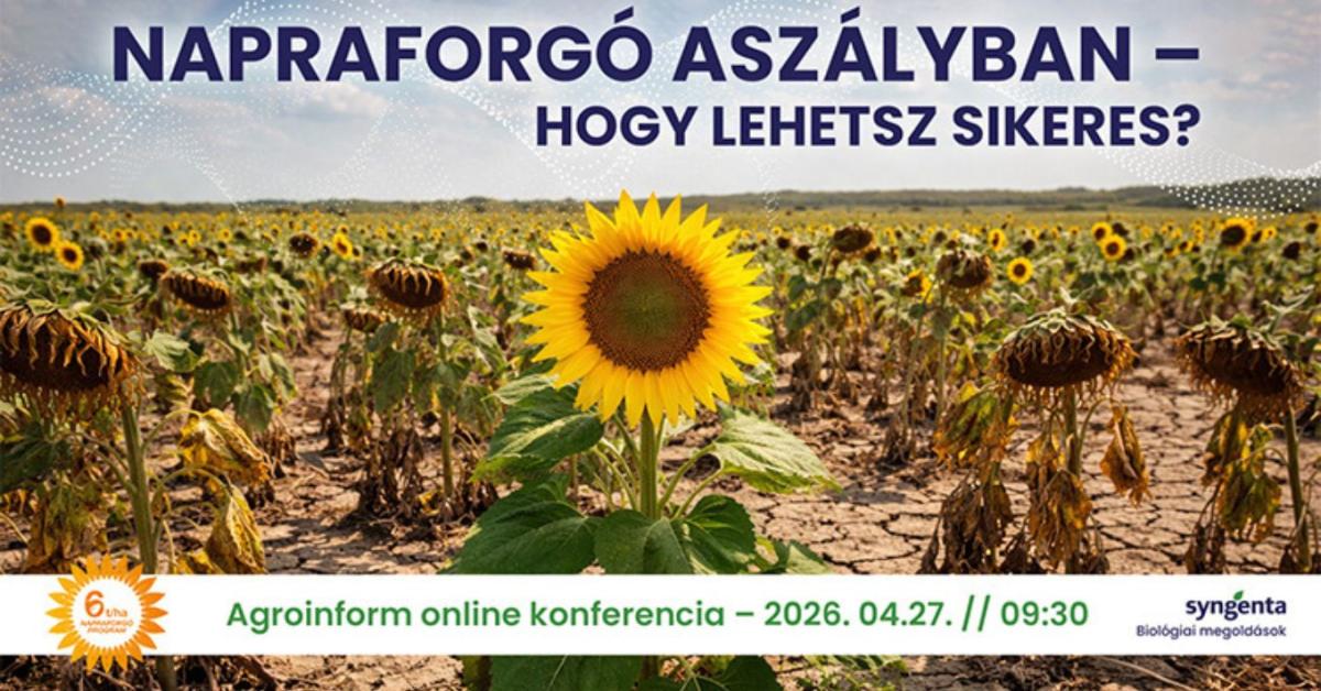 Napraforgó aszályban – hogy lehetsz sikeres? Agroinform online konferencia