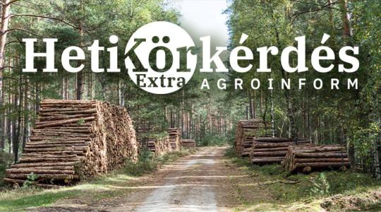 PIACI KÖRKÉP – gépek, technológiák a versenyképes erdőgazdálkodásért kiírt pályázathoz  – Heti Körkérdés Extra