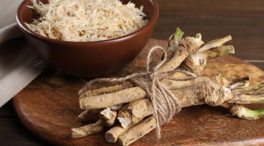 Árverseny a földeken: kibírja-e a hajdúsági torma a távol-keleti nyomást?