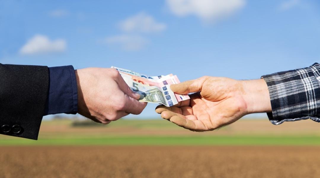 Küszöbön a magyar euró: Megszűnik a kényelem, jön a kíméletlen hatékonyság