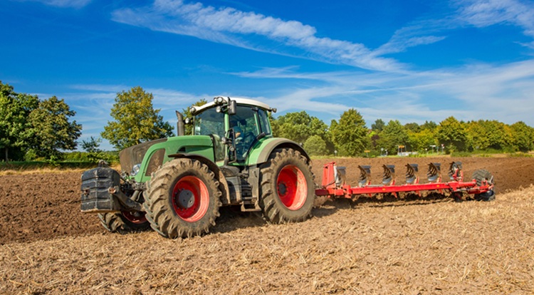 Egy hektárnyi tévedéssel romba dönthető sok év munkája