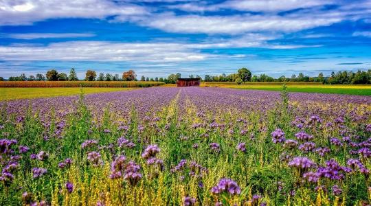 Mi minősül folyamatos borítottságnak az AKG-ban? Tisztázták a mentesülés feltételeit
