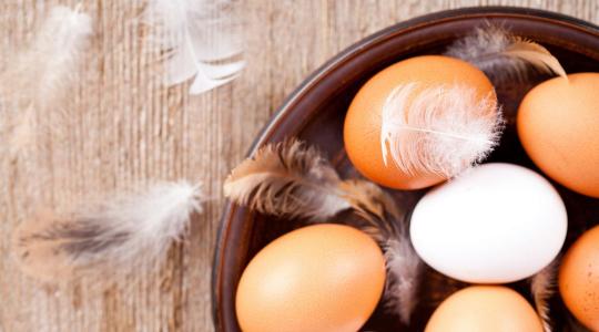 Erre senki sem számított: mi történik a tojás árával?