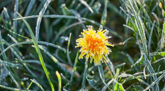 Időjárás: többfelé fagyhat + VIDEÓ