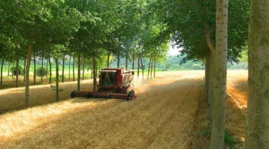 Frissült a KAP-menetrend: Újabb milliárdok nyílnak meg az agráriumban 2026 második felében