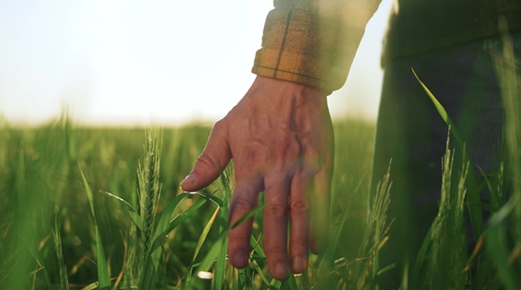 Minek kellenek megváltoznia  a mezőgazdaságban?