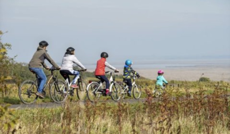 Egy kis biciklizés a Fertő-tónál?