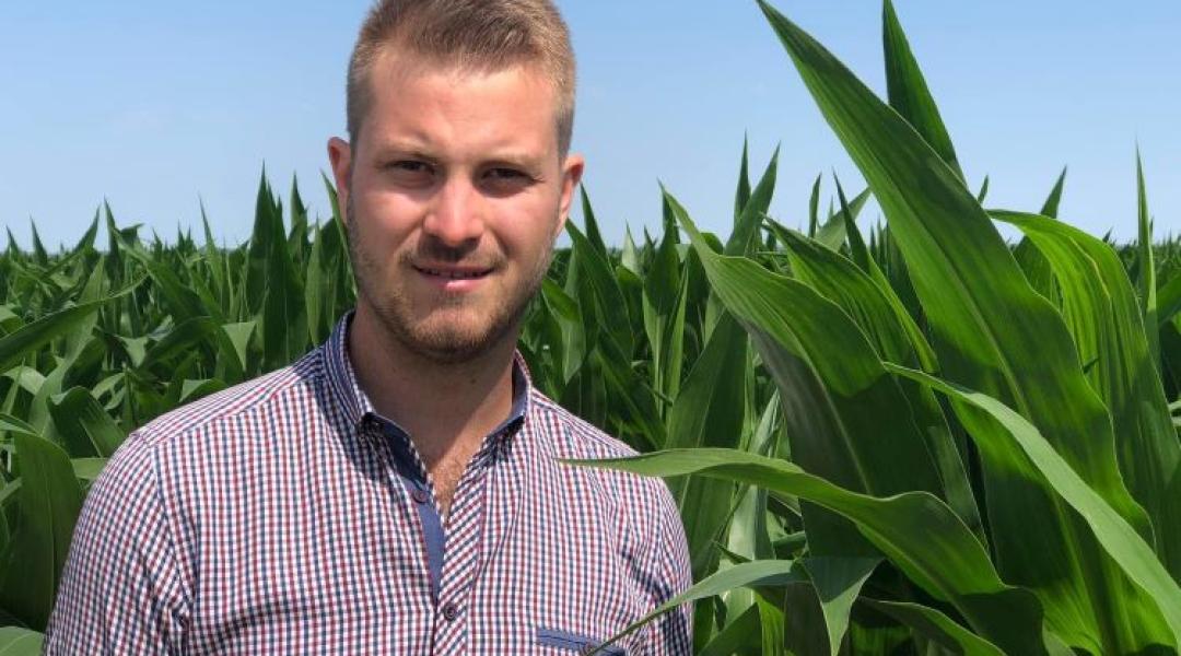 Nulla termés vagy rekordhozam? A győztes kukoricatermelő szerint a víz az egyetlen esély