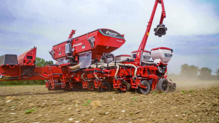 A szabadföldi paprikatermesztés, mint magasabb hozzáadott értékű ágazat, kulcsfontosságú a gazdaság jövedelmezőségének növelésében. (Forrás: IKR)